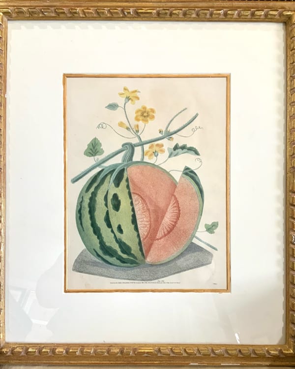 Polignac Melon — Pomona Britannica